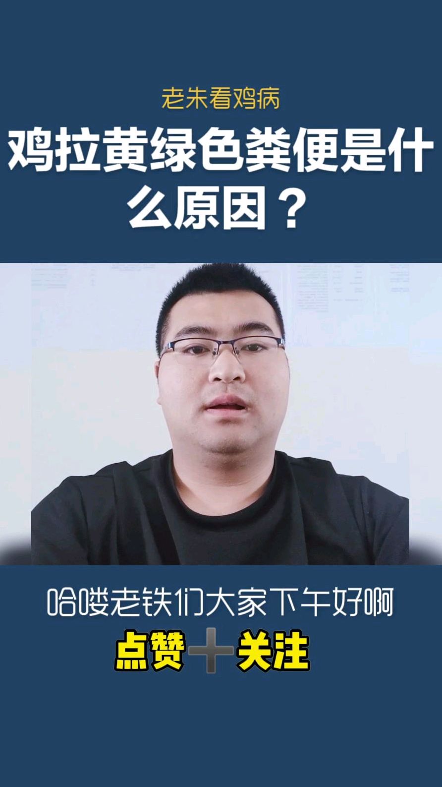 鸡拉黄绿色粪便是怎么回事?