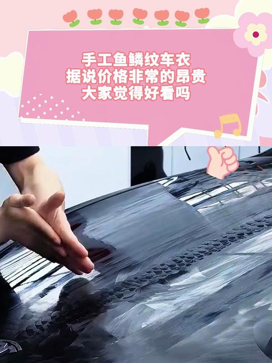 手工鱼鳞纹车衣,据说价格非常的昂贵,大家觉得好看吗