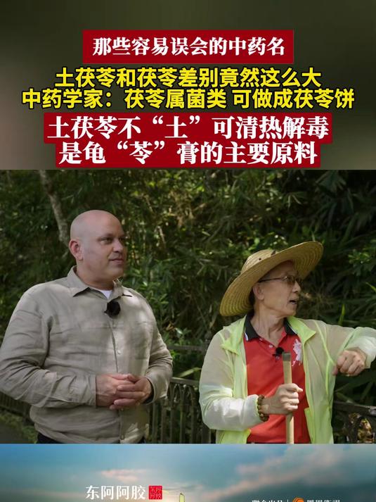 那些容易让人误会的中药名 土茯苓和茯苓差别竟然这么大:茯苓属菌类,可做成茯苓饼;土茯苓不“