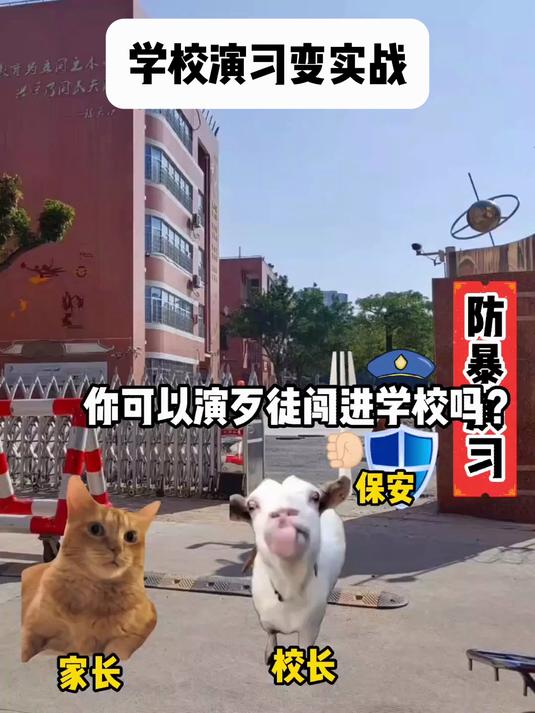 演习直接变实战