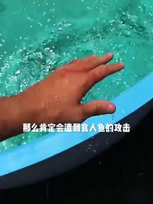 食人鱼的牙齿到底有多锋利?