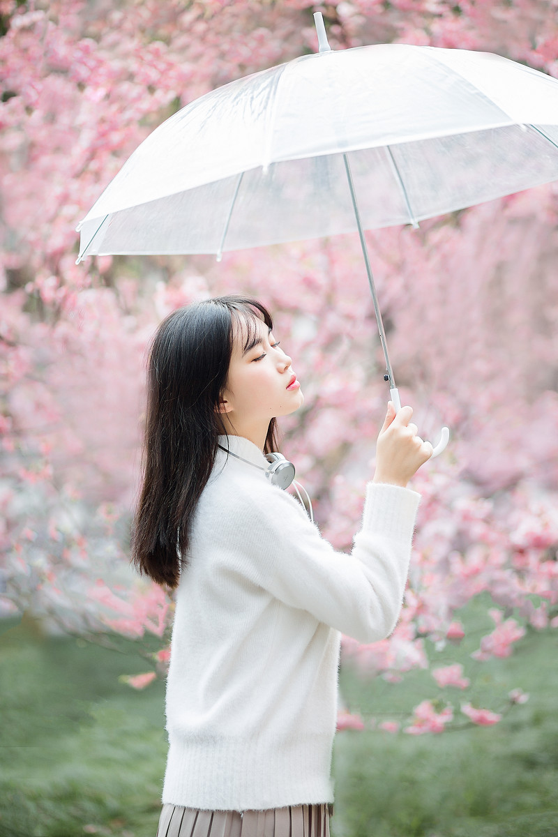 图片[3]-樱花物语-六色网