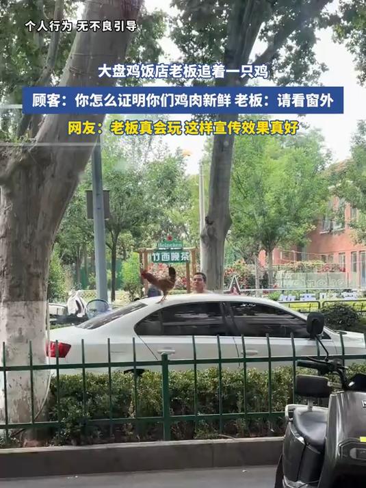 大盘鸡饭店老板追着一只鸡，顾客：你怎么证明你们鸡肉新鲜，老板：请看窗外，网友：这样宣传效果