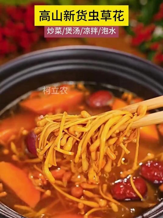 用这虫草花,给家人炖一锅营养鸡汤