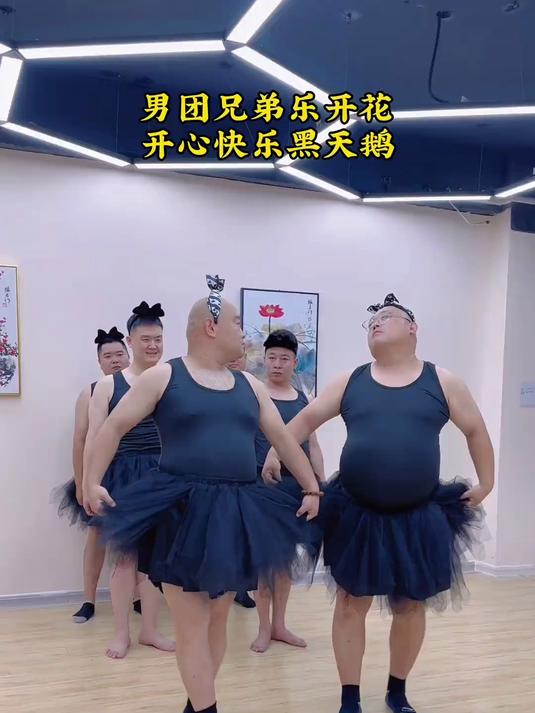 黑天鹅遇上白天鹅,家养的和野生的到底有什么区别?快来看看吧