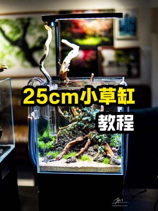 25cm的桌面小草缸造景开缸教程01