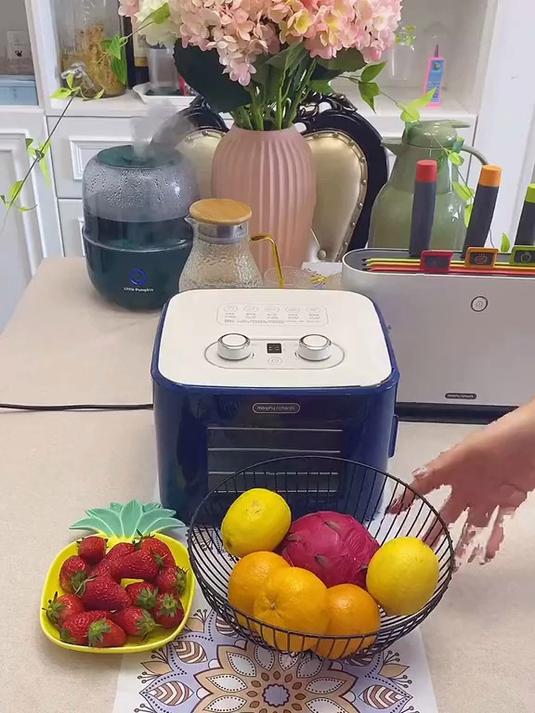 可以自制花茶,肉干,鱼干,你能想到的各种干摩飞干果机