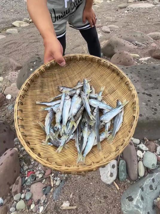 现钓现晒！这种小鱼干儿，要怎么做好吃？#溪流钓# #户外# #小鱼干儿做法# #溪石斑鱼钓
