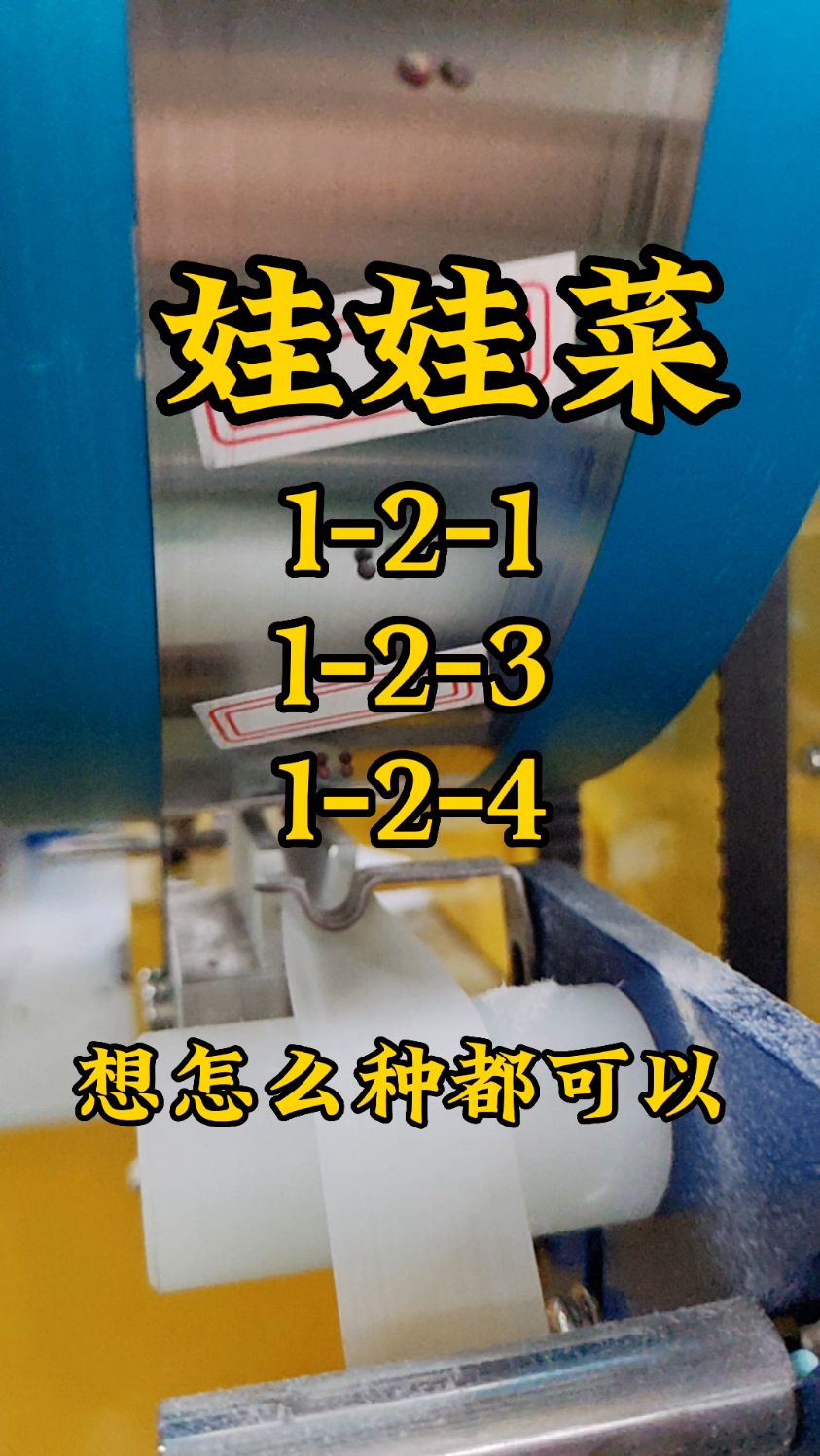 娃娃菜这样种,省种又省力,全自动蔬菜播种机,一机多用