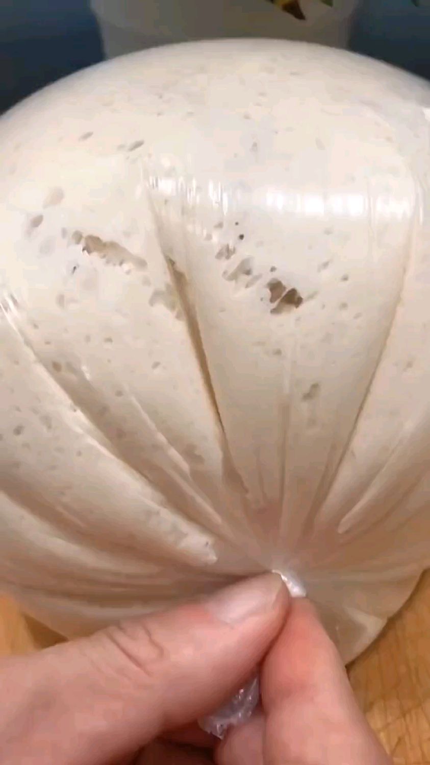 好多人说做包子馒头面发不好,你们看看我发的这个面怎么样?我将配方送给大家