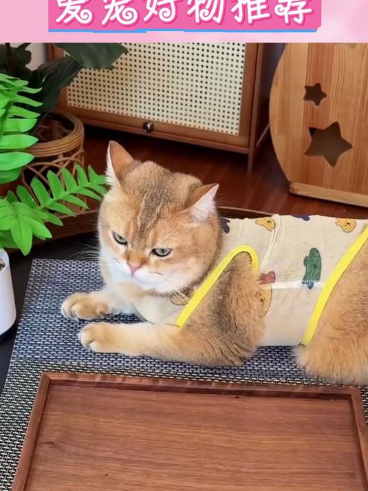 咪美毛秘籍!生鱼油猫条,亮泽毛发就靠它