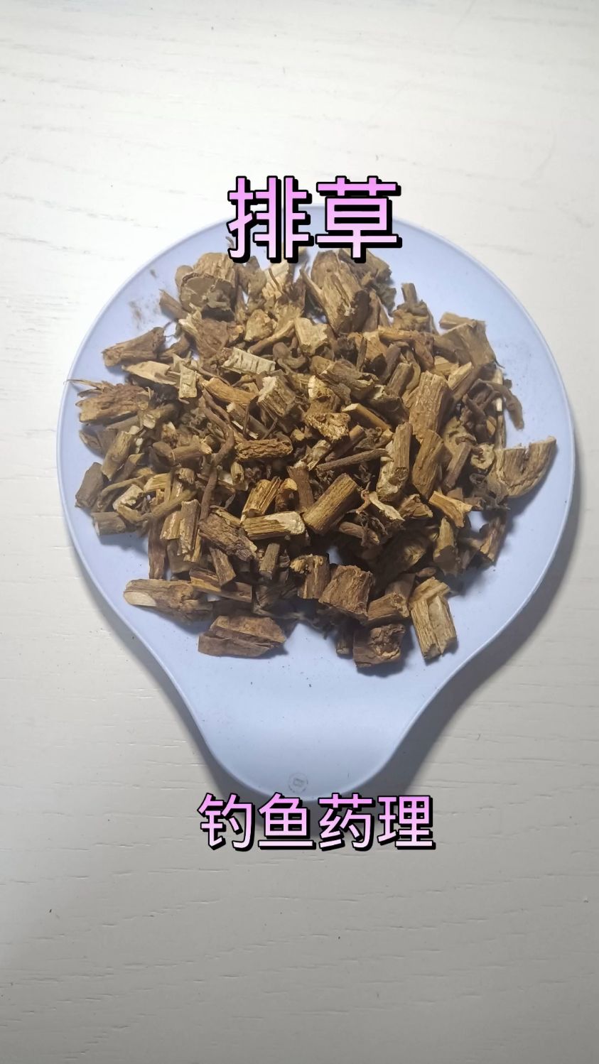钓鱼药酒中的排草的作用