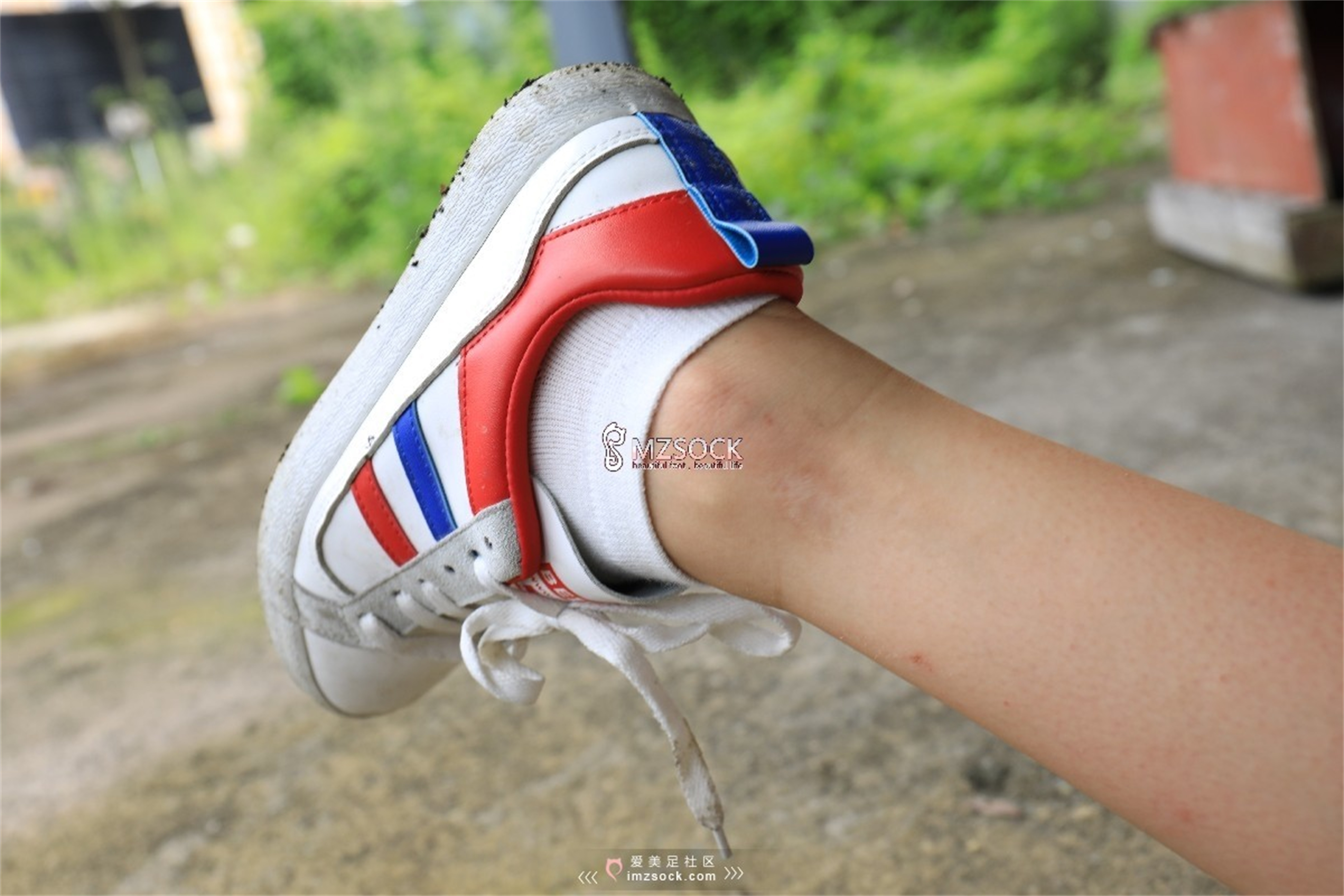 图片[54]-[MZSOCK]爱美足 NO.049 悦悦[122P403M]-六色网