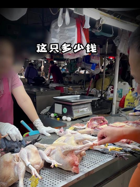 市场里面清远鸡35一斤 你会选择吗？
