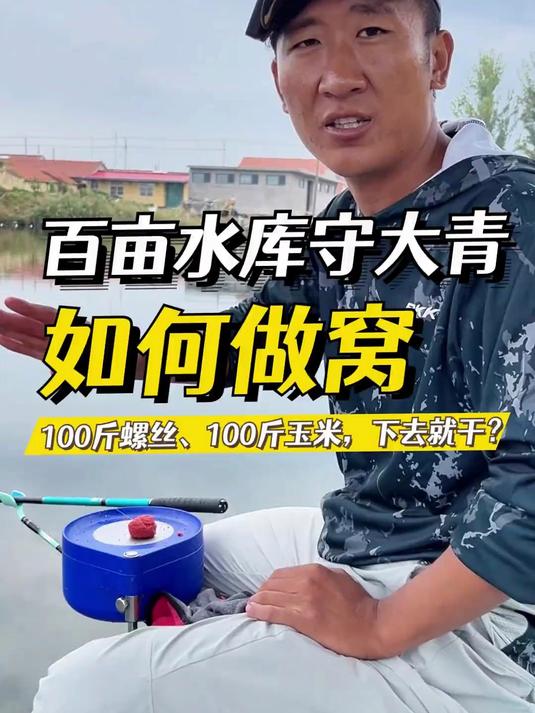 百亩水库守钓野生大青鱼,如何做窝