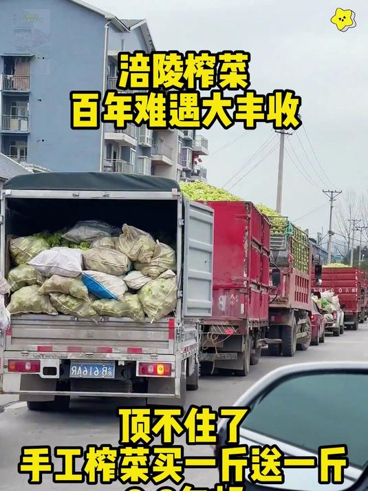 新鲜现拌的榨菜片麻辣味刚好一口一个嘎嘣脆配粥下饭超好吃