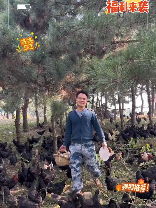 绿壳乌鸡蛋，营养丰富，蛋黄细腻棉软