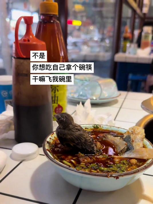 吃冷锅鱼吃得正开心,碗里突然来了客人,网友:它屁屁不辣吗?
