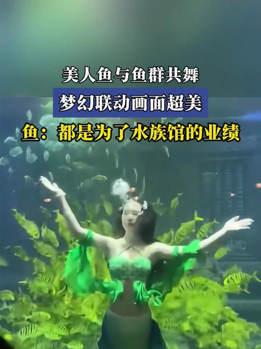 美人鱼与鱼群共舞,梦幻联动画面超美,鱼:都是为了水族馆的业绩