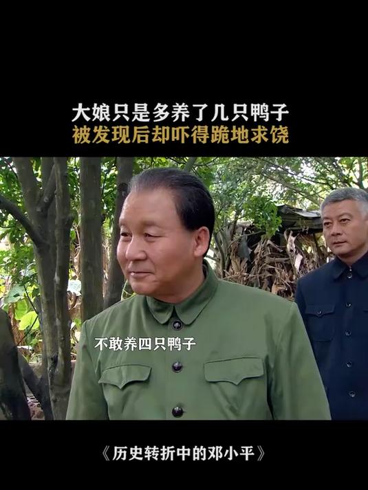 历史转折中的邓小平:养鸭子超过三只,就会被认为是资本主义