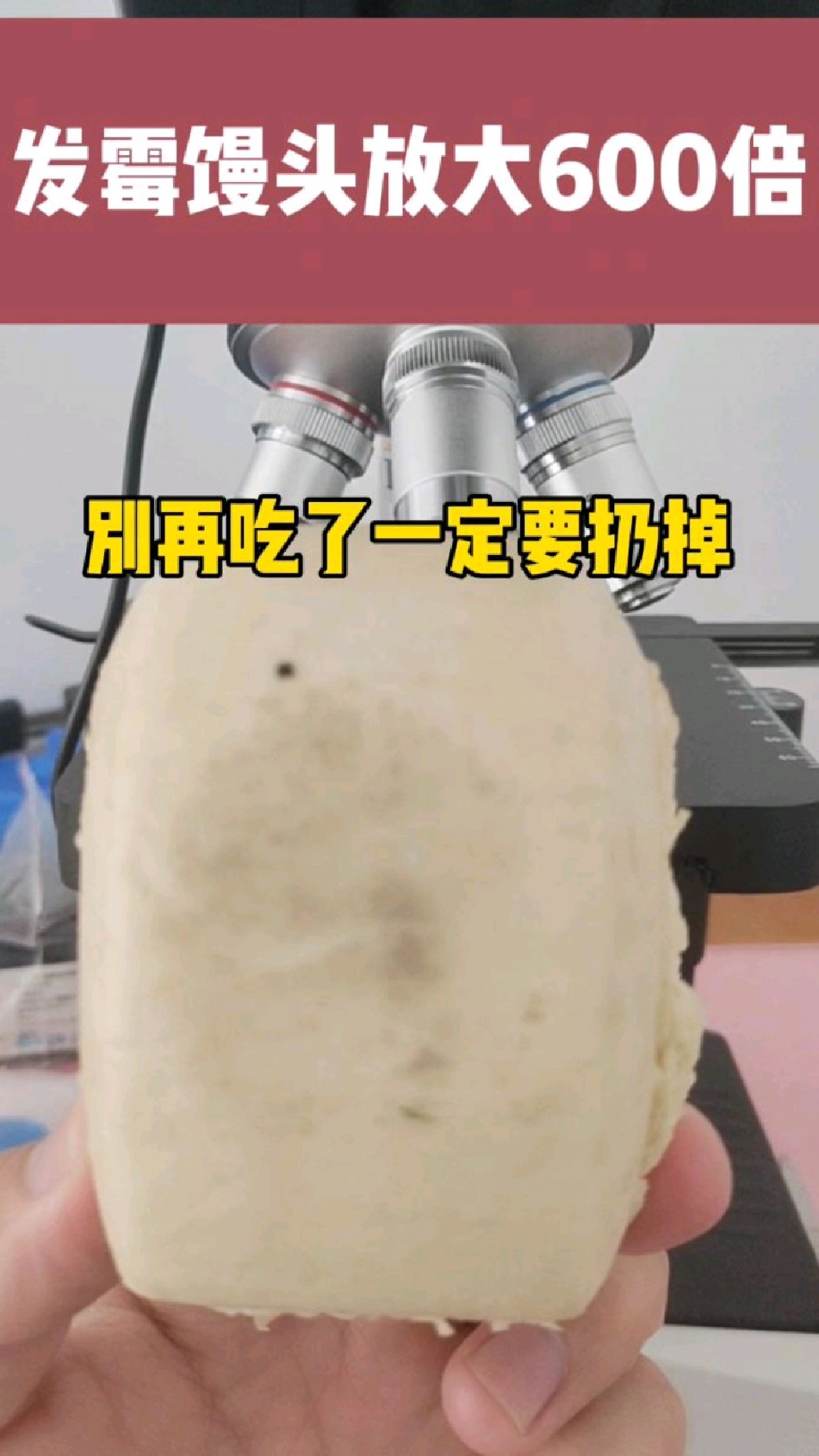 发霉馒头显微镜观察,还能吃吗