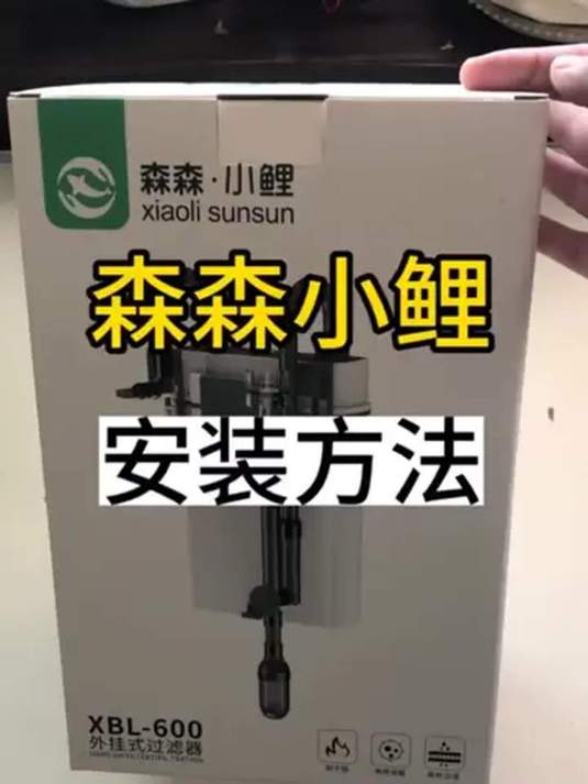 森森小鲤 xbl 系列壁挂过滤器咋安装?养鱼必知