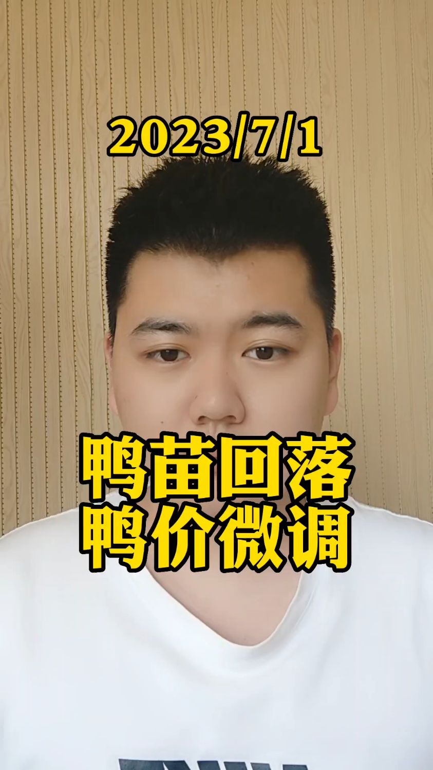 7月1号最新鸭价,白鸭苗摇曳跌开,整体下滑2毛,最高报价3.47,最低处在3。
