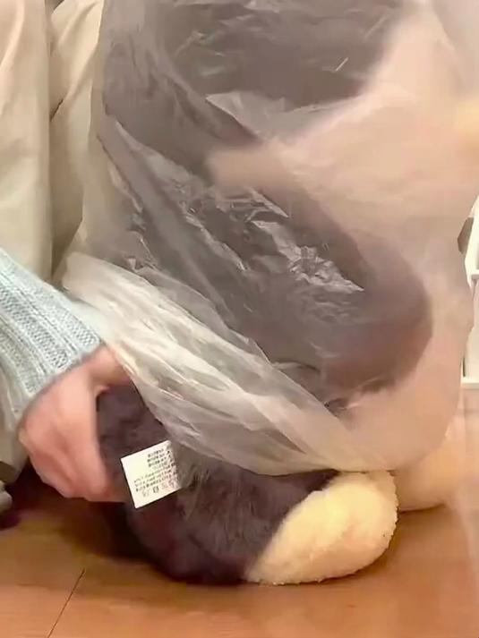 可爱小企鹅公仔 女生抱睡抱枕儿童毛绒生日礼物