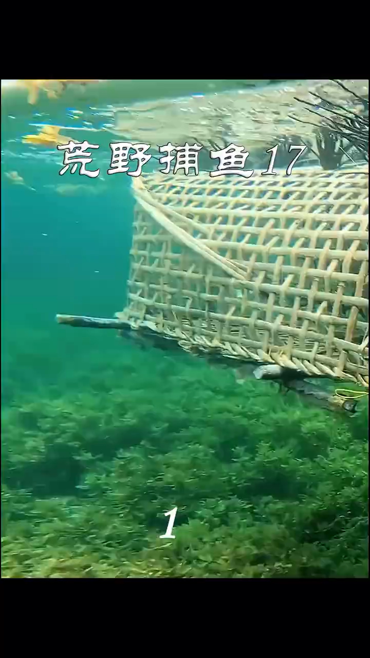 奇怪的地笼捕鱼能捕到奇怪的鱼