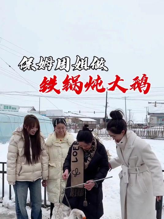 今天周姐给我们一家人做了铁锅炖大鹅 周姐的手艺真的是一绝