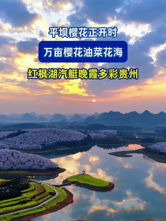 平坝樱花正开时，万亩樱花油菜花海，红枫湖汽艇晚霞多彩贵州#花满春城我代言#
