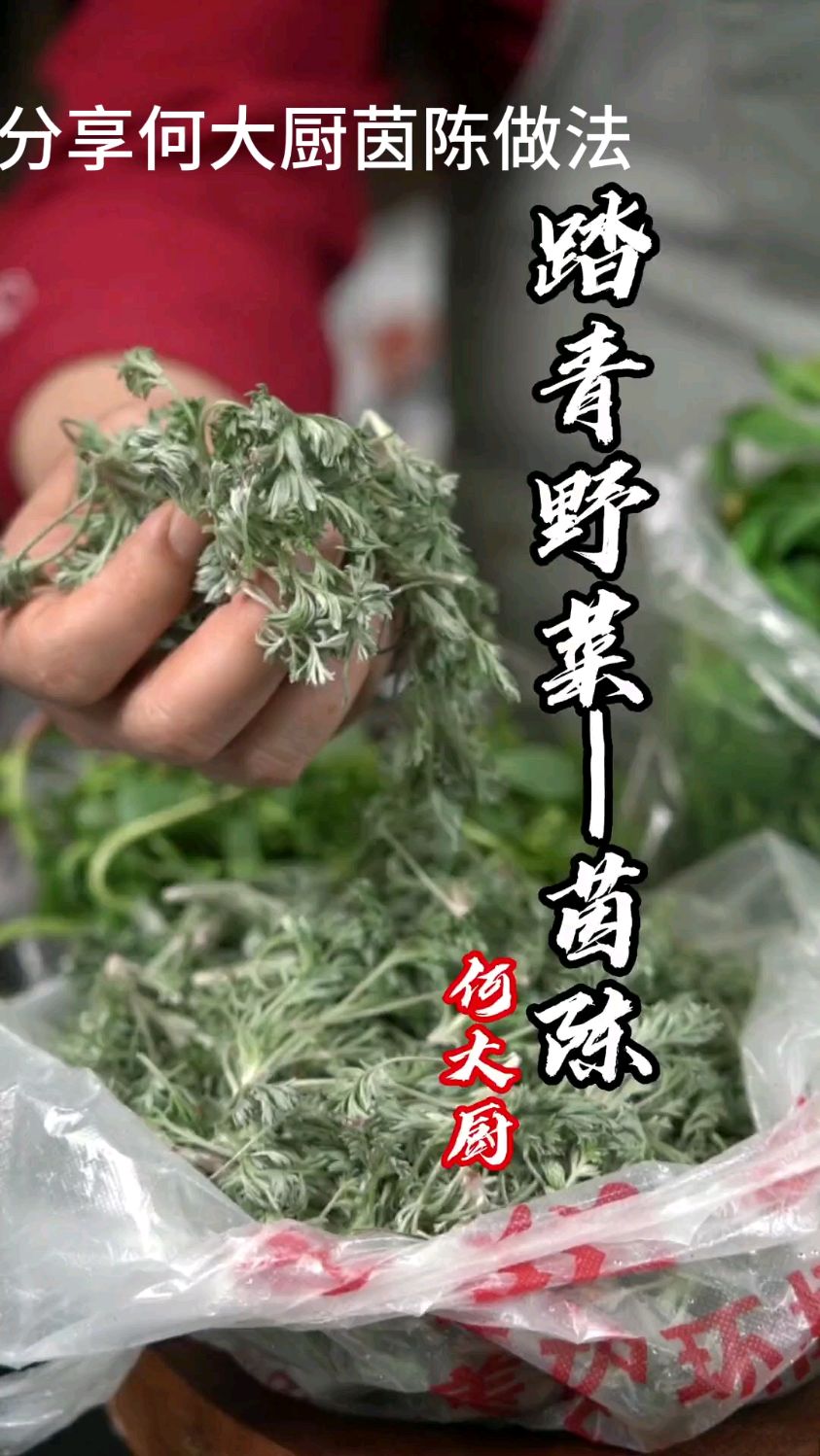 分享何大厨野菜茵陈做法,好吃简单