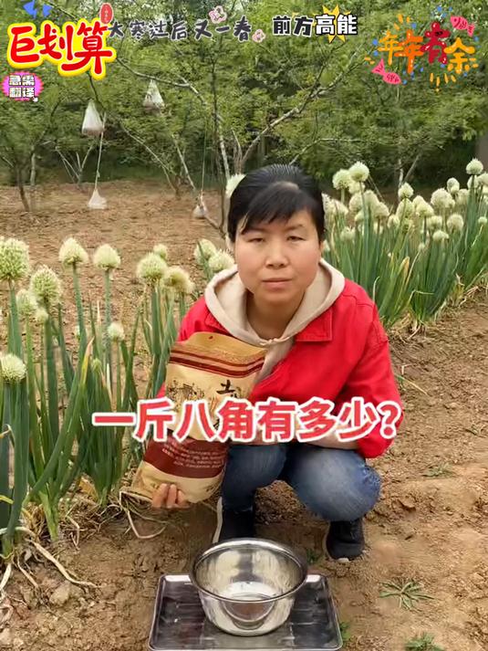 大红老树八角自然晾晒不熏硫磺健康农产品质量有保证足干新货原产地直发!