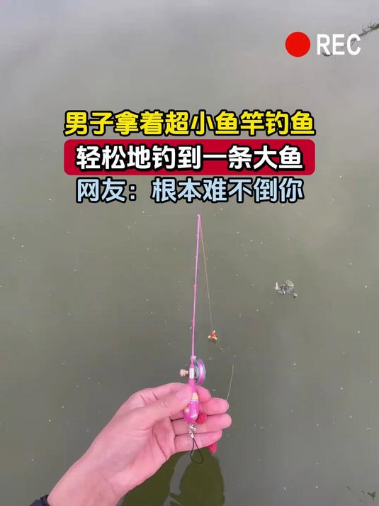 男子拿着超小鱼竿钓鱼,轻松地钓到一条大鱼,网友:根本难不倒你