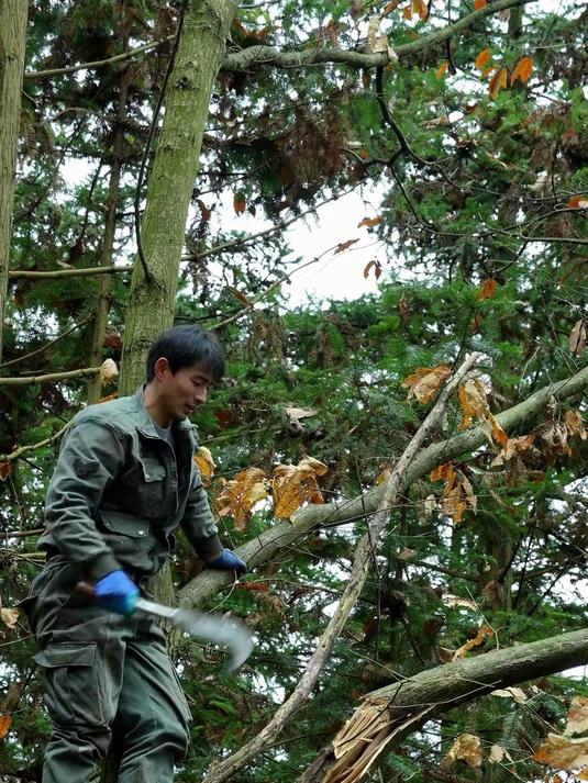 用时间沉淀的美味——烟熏腊肉 我的乡村生活 大山里的味道