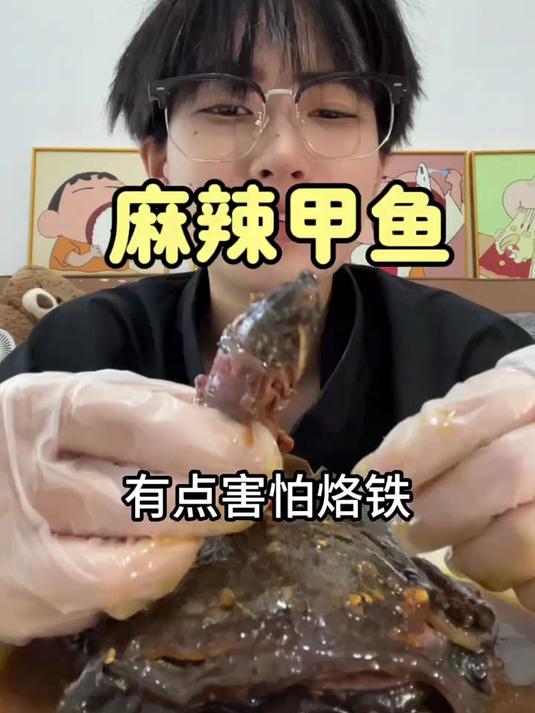 这裙边给劲儿 麻辣甲鱼