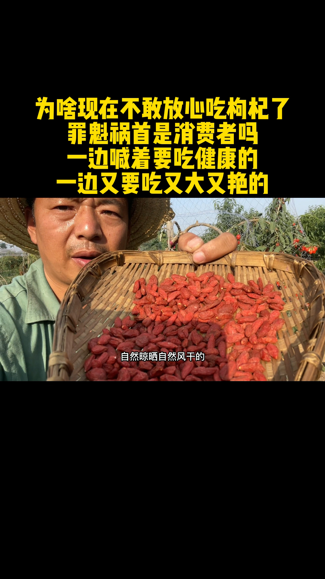 为啥不敢放心吃枸杞了,有些人一边喊着要吃健康的,一边又要吃又大又艳的