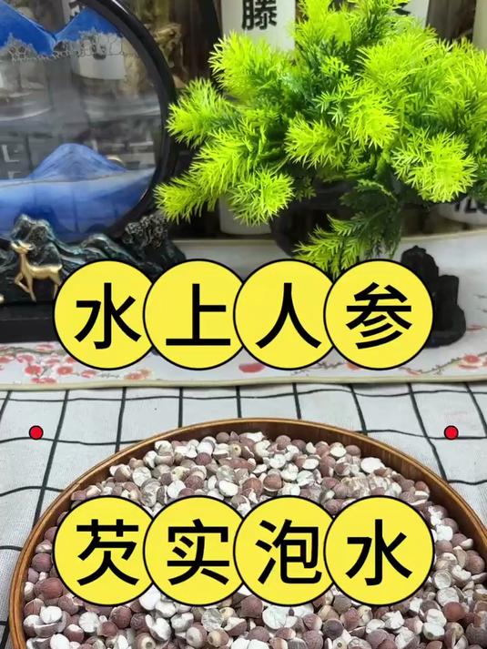 被称为水上人参的,芡实,可以泡水煮水