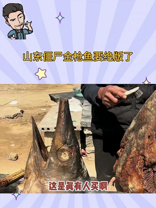 山东僵尸金枪鱼要绝版了