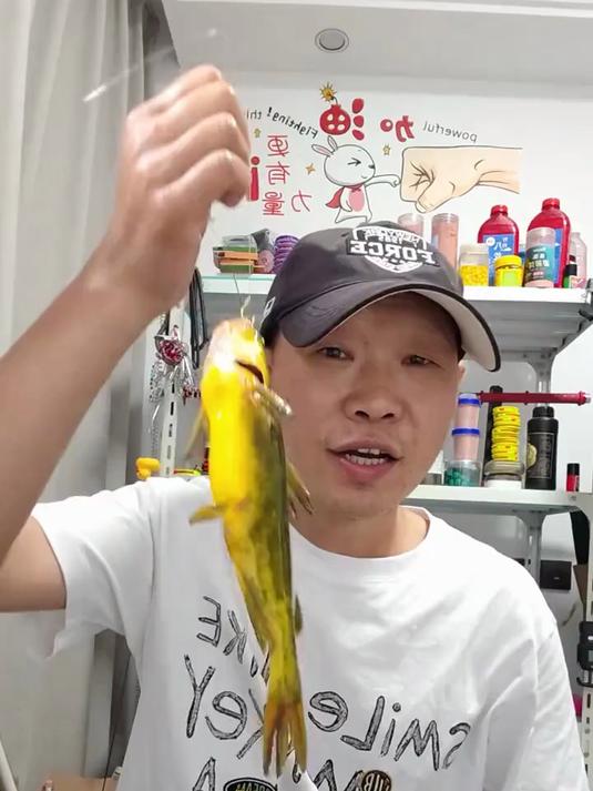 昂刺鱼颗粒窝料钓鱼窝子昂公黄辣丁饵料垂钓打窝饵料 颗粒窝料