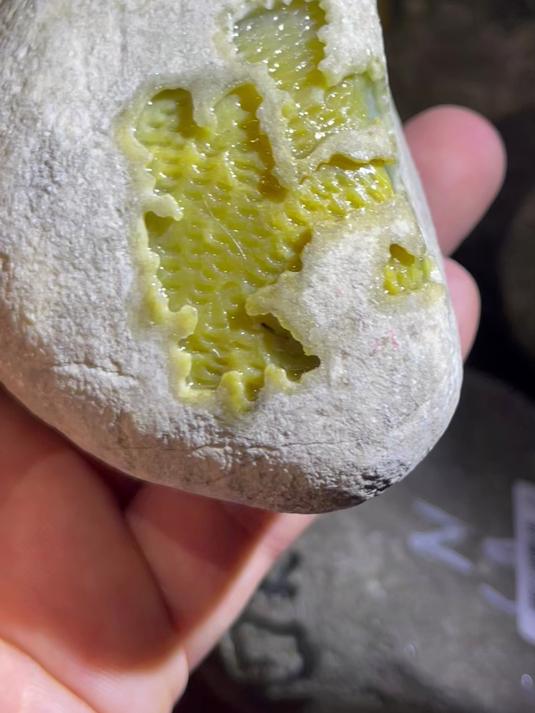 莫西沙白岩沙料,开窗部位到鸡油黄!太美了!