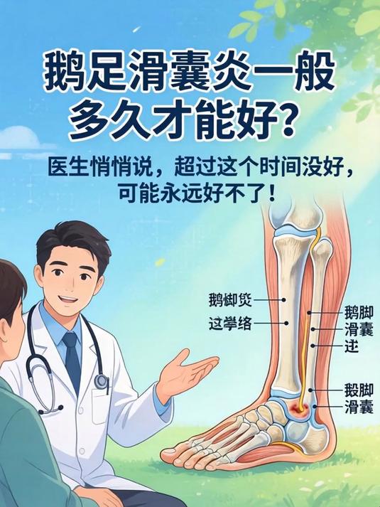 鹅足滑囊炎一般多久才能好?医生悄悄说,超过这个时间没好,可能永远好不了!