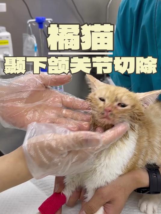 新出炉的情侣头像记得保存一下