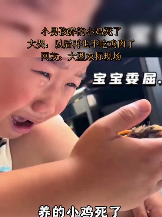 小男孩养的小鸡死了，大哭：以后再也不吃鸡肉了，网友：大型双标现场
