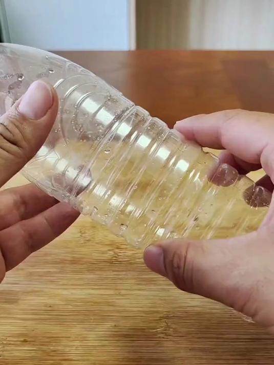 自制消灭苍蝇小飞虫神器!