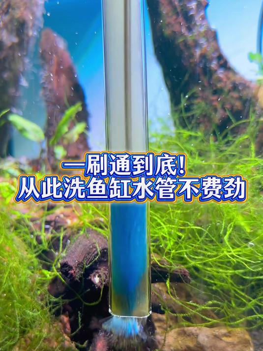 一刷通到底！从此洗鱼缸水管不费劲！