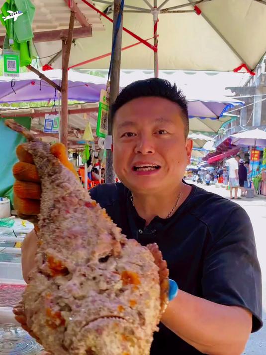 石头鱼（玫瑰毒鲉）来自南海的美味珍馐。背刺里有小喷泉