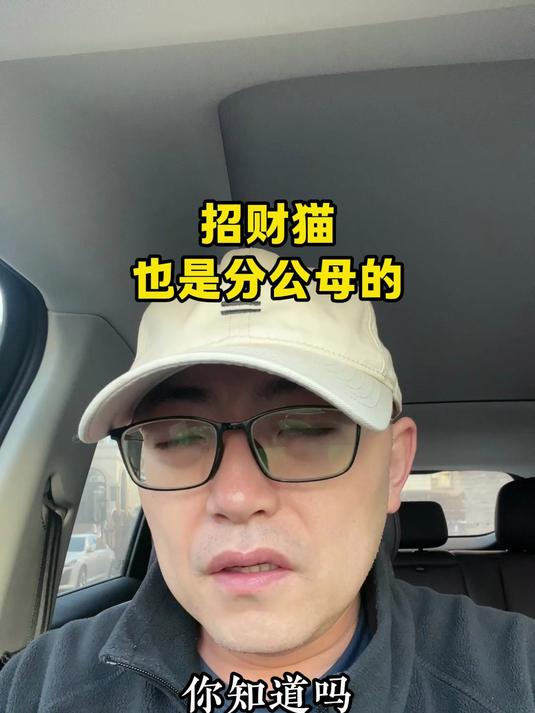 招财猫也是分公母的，右手摆动为公猫，左手摆动为母猫