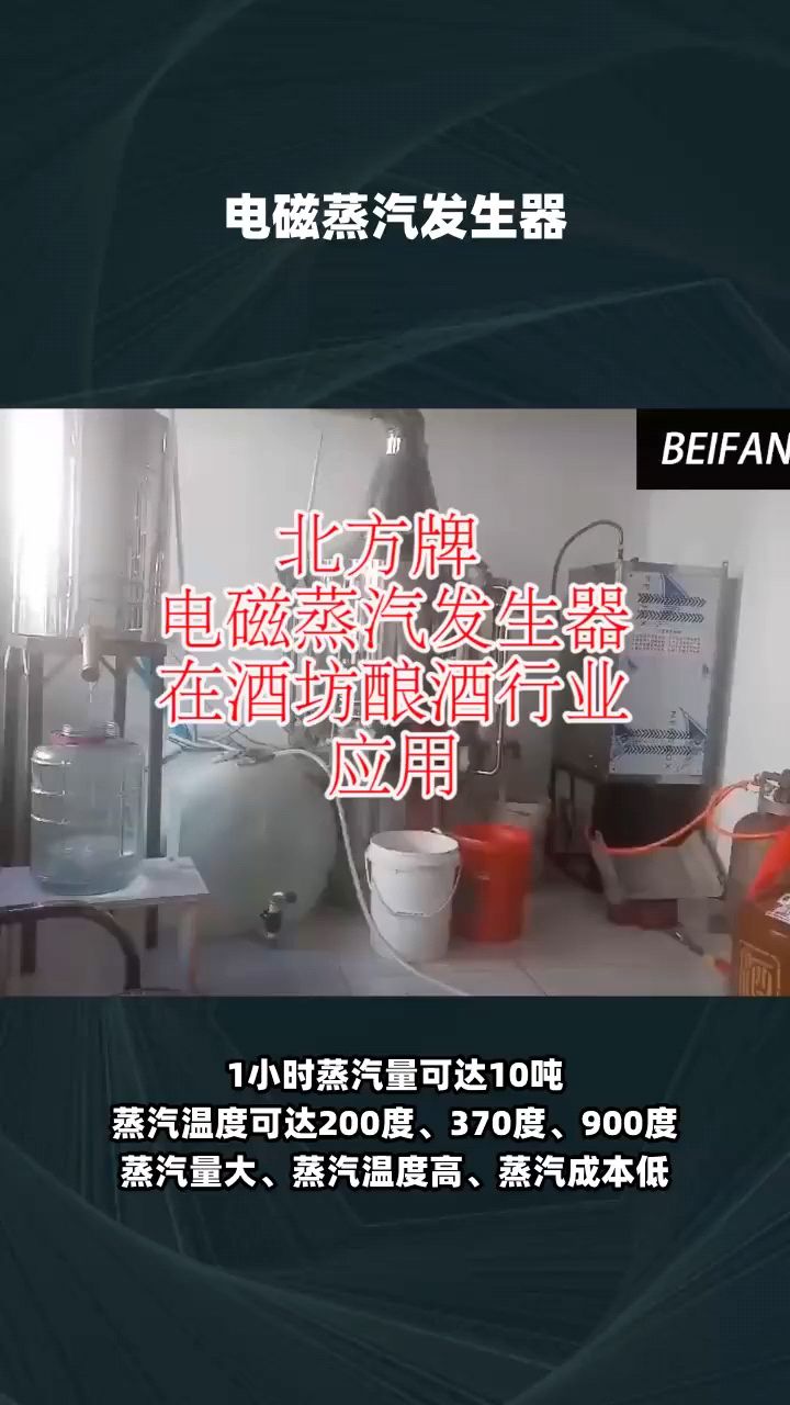 电磁蒸汽发生器