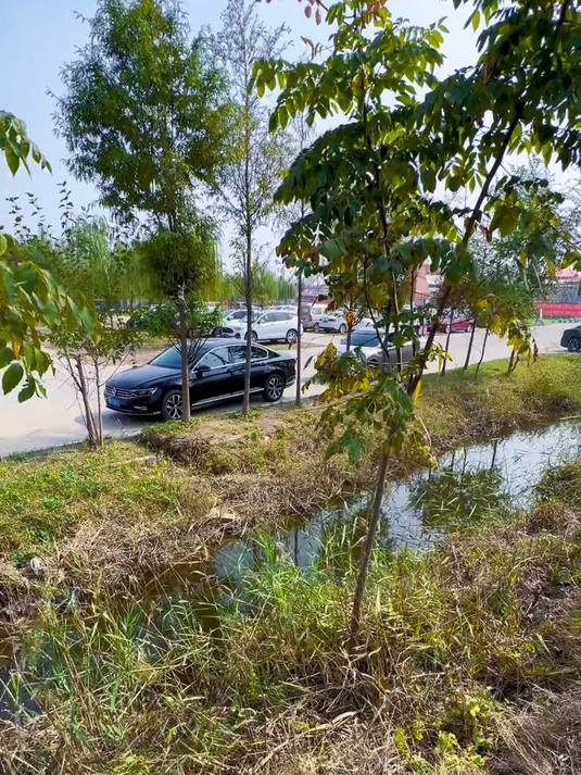 游乐场门口小沟里的惊喜，令人意想不到